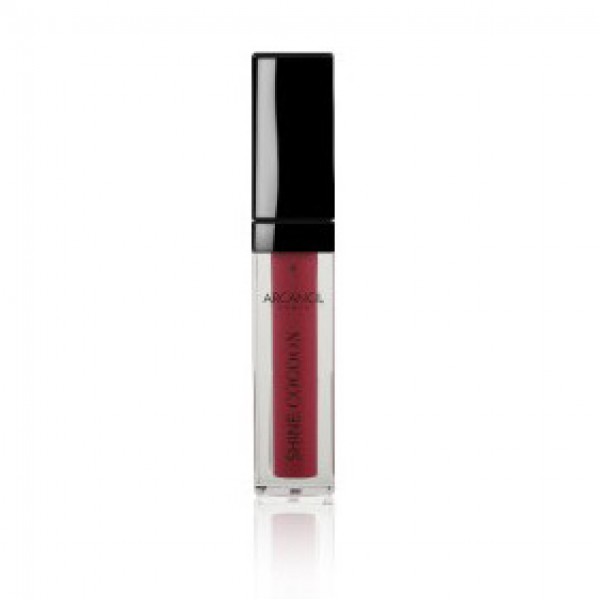 Shine Cocoon Lip Gloss 382 Prune Arcancil Paris