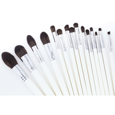 Set 15 pensule profesionale machiaj Diva