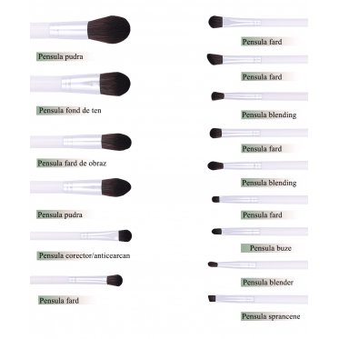 Set 15 pensule profesionale machiaj Diva