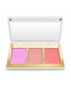 Rose Desire Blush, 12 g, Dannes Beauty Rose Desire Blush, 12 g, Dannes Beauty