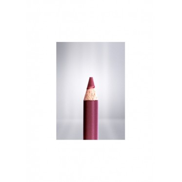  Creion pentru buze 200 Prune Arcancil Paris