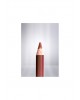  Creion pentru buze 310 Bois de Rose Arcancil Paris
