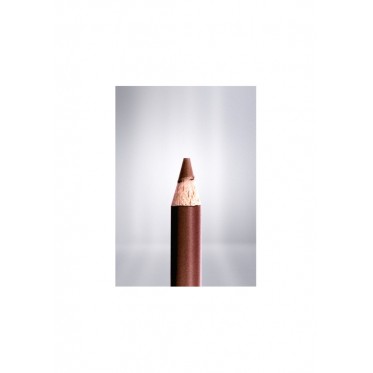  Creion pentru buze 320 Brun de Rose Arcancil Paris