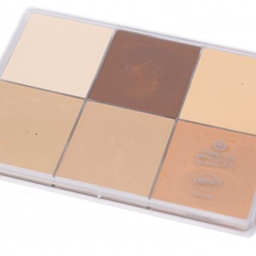 Paleta corector Mat Make-up Maqpro Paris